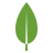 Best Digital Learning Platform 12 MongoDB