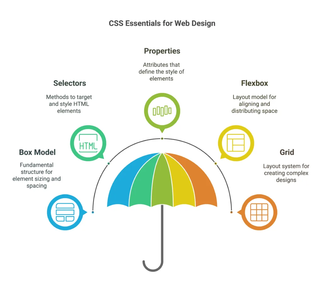 CSS Essentials 1 css essentials