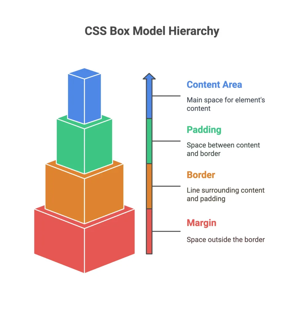 Understanding the Box Model 1 box model