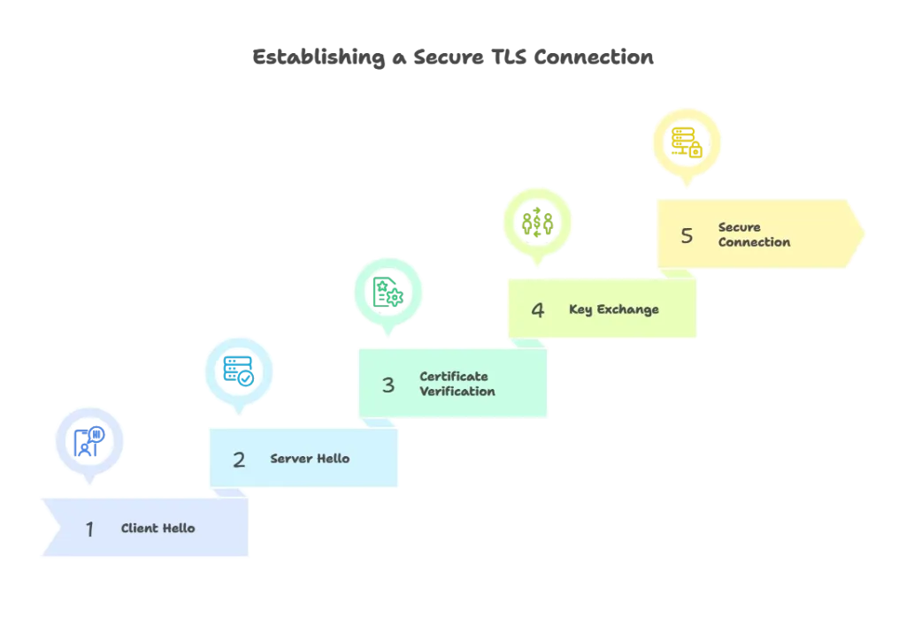 Handling TLS/SSL Connections 1 Basics of TLS_SSL, Handling TLS/SSL Connections