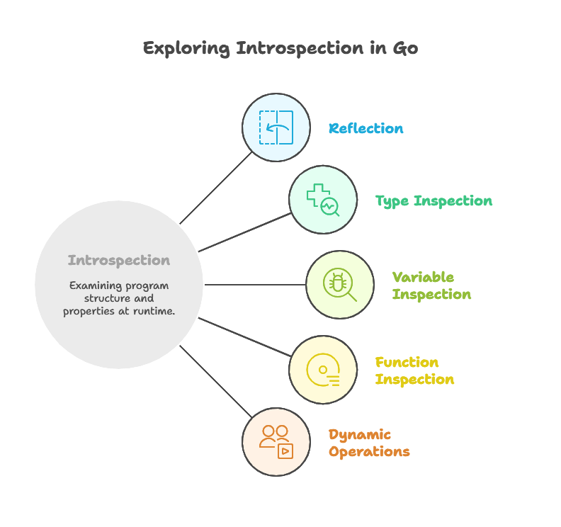 Introspection and Type Information 1 Understanding Introspection, Introspection and Type Information